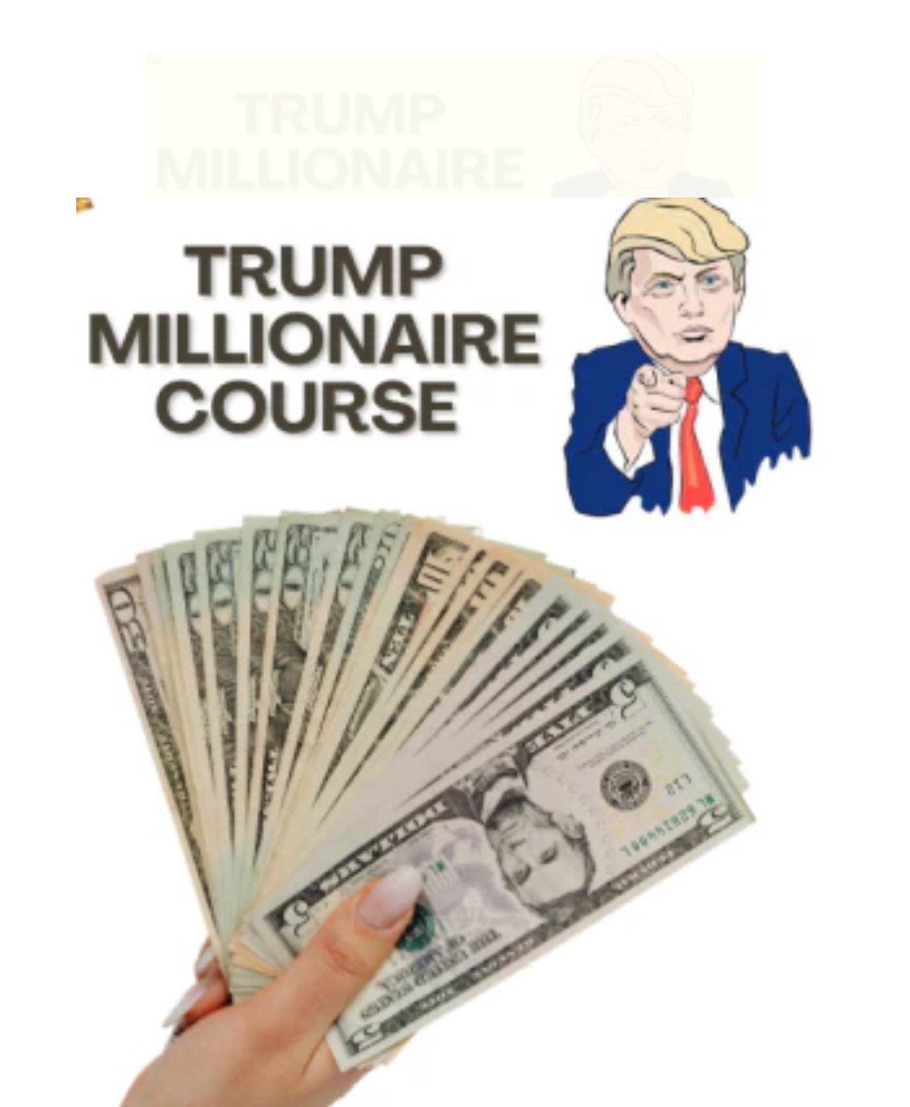 TRUMP MILLIONAIRE COURSE